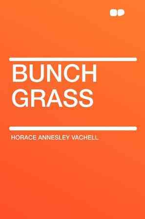 Bunch Grass